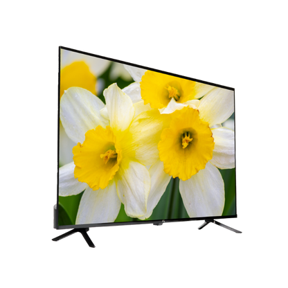 SmartTV 32” PG-32SMG Google TV