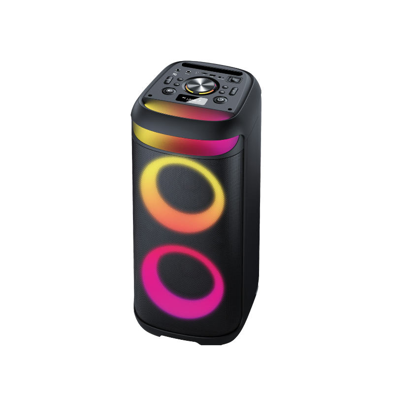 Party Speaker